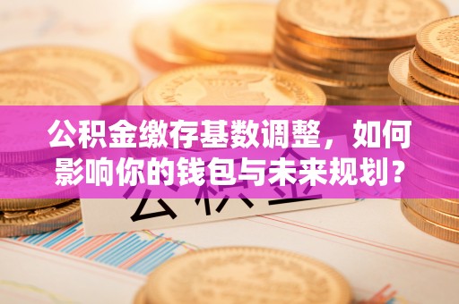 和顺公积金缴存基数调整，如何影响你的钱包与未来规划？