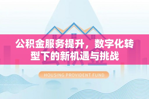 和顺公积金服务提升，数字化转型下的新机遇与挑战
