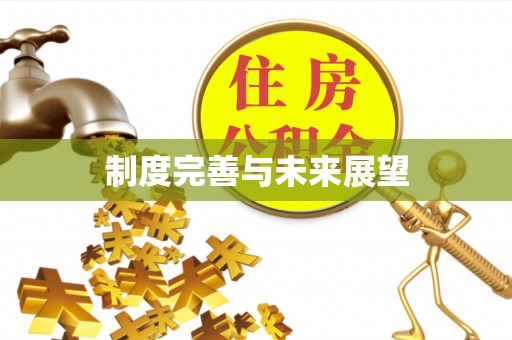 和顺制度完善与未来展望