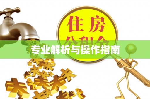 和顺专业解析与操作指南