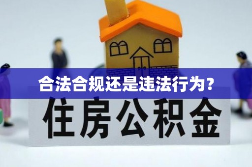 和顺合法合规还是违法行为？