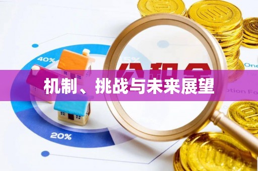和顺机制、挑战与未来展望
