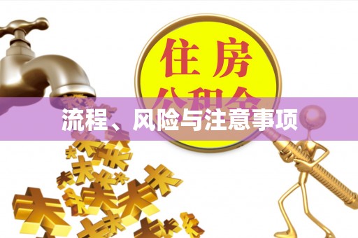 和顺流程、风险与注意事项
